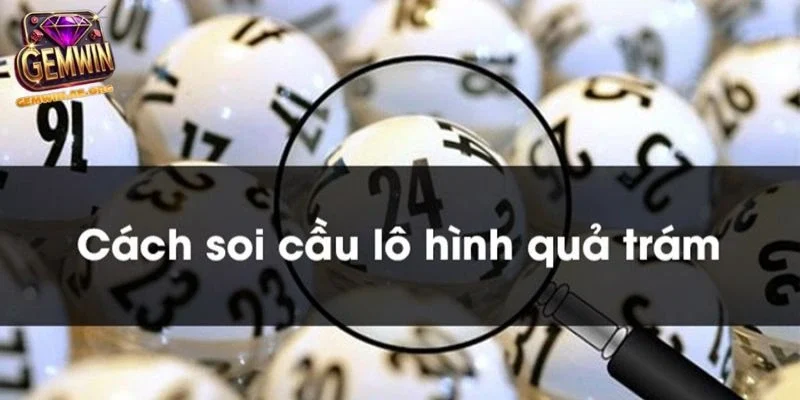 Mô hình kỹ thuật lô hình quả trám